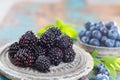 Fresh summer wild blueberries and brambleberry, blackberry in st Royalty Free Stock Photo