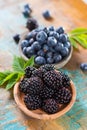 Fresh summer wild blueberries and brambleberry, blackberry in st Royalty Free Stock Photo
