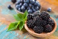 Fresh summer wild blueberries and brambleberry, blackberry in st Royalty Free Stock Photo