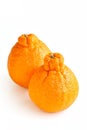 Fresh Sumo Mandarin on White Background