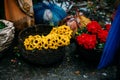 Fresh Sun Flowers and Roses in the basket for sell in the morning at Mullick Ghat flower market in Kolkata, India Royalty Free Stock Photo