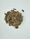 fresh sunflower seeds  white background, sunflower seeds in glass bowl top view Royalty Free Stock Photo