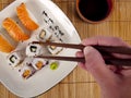 Fresh sushi and sashimi on a plate Royalty Free Stock Photo