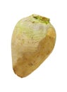 Fresh swede vegetable Royalty Free Stock Photo