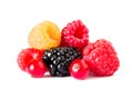 Fresh Sweet Berries on the White Background. Ripe Juicy Raspberry, Blackberry, Currants