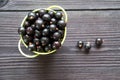 fresh sweet blackcurrants in the bowl Royalty Free Stock Photo