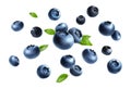 Fresh, sweet blueberries mix on white background