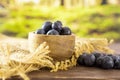 Fresh sweet blueberry with forest behind