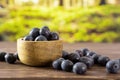 Fresh sweet blueberry with forest behind