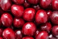 Fresh sweet cherries. Food fruit background