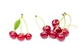 Fresh sweet cherries fruit, juicy ripe red cherry, berry, isolated on the white background Royalty Free Stock Photo