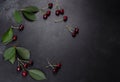 Fresh sweet cherries plate with leaves in water drops on stone background, top view