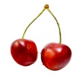 Fresh sweet cherry (cherries) cropped isolated