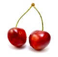 Fresh sweet cherry (cherries) isolated