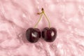 Fresh sweet cherry in pink calm water