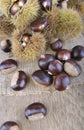 Fresh sweet chesnutson a table Royalty Free Stock Photo