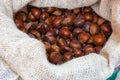 Fresh sweet chestnuts in the big sack at the Christmas market Royalty Free Stock Photo