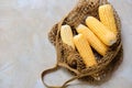 Fresh Sweet Corn Cob in Eco Textile Net Bag Royalty Free Stock Photo