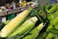 Fresh Sweet Corn Royalty Free Stock Photo