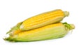 Fresh sweet corn Royalty Free Stock Photo