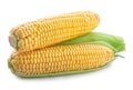Fresh sweet corn isolated on white background. Clipping path Royalty Free Stock Photo
