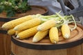 Fresh sweet corn on rustic wooden background. Fresh corn on cobs close up. Selective focus. Organic food. Royalty Free Stock Photo