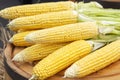 Fresh sweet corn on rustic wooden background. Fresh corn on cobs close up. Selective focus. Organic food. Royalty Free Stock Photo