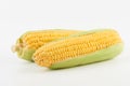 Fresh sweet corn Royalty Free Stock Photo