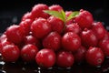 Fresh sweet cranberries close up Royalty Free Stock Photo