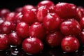 Fresh sweet cranberries close up Royalty Free Stock Photo