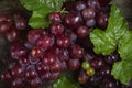 Fresh, sweet, crisp red grapes with green leaves