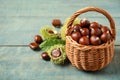 Fresh sweet edible chestnuts in wicker basket on blue wooden table. Space for text Royalty Free Stock Photo