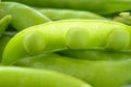 Fresh Sweet Green Pea Ceeds in the Open Pod Royalty Free Stock Photo