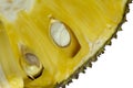Fresh sweet jackfruit segment ready for eat, JackFruit isolated on white background Royalty Free Stock Photo