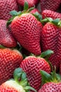 Fresh Strawberries Royalty Free Stock Photo