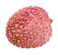 Fresh lychee isolated on white background with clipping path Royalty Free Stock Photo