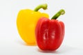 Fresh Sweet pepper, bright colour, non-toxic.