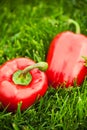 fresh sweet peppers Royalty Free Stock Photo