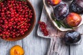 Fresh sweet plum fruits whole and sliced in plate with rosemary leaves on old cutting board with red currant berries Royalty Free Stock Photo