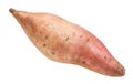 Fresh sweet potato ipomoea batatas isolated Royalty Free Stock Photo