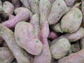 Fresh sweet potato with root at farmer market as a food background Royalty Free Stock Photo