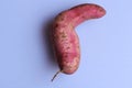 Fresh sweet potatoes isolated on white background Royalty Free Stock Photo