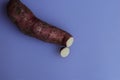 Fresh sweet potatoes  on white background Royalty Free Stock Photo