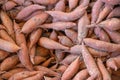 Fresh Sweet Potatoes in a Farmer`s Market Royalty Free Stock Photo