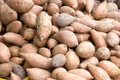 Fresh Sweet Potatoes for Sale Royalty Free Stock Photo