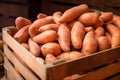 Fresh sweet potatoes in storage with rich, earth-toned skins neatly contained in a wooden crate, ready for market.