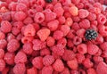 Fresh and sweet raspberries background