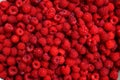 Fresh and sweet raspberries background.Healthy and vitamine food