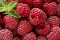 Fresh and sweet raspberries background. Selective focus Royalty Free Stock Photo