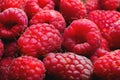 Fresh sweet raspberries close-up. Ripe raspberries macro photography, fruit background Royalty Free Stock Photo